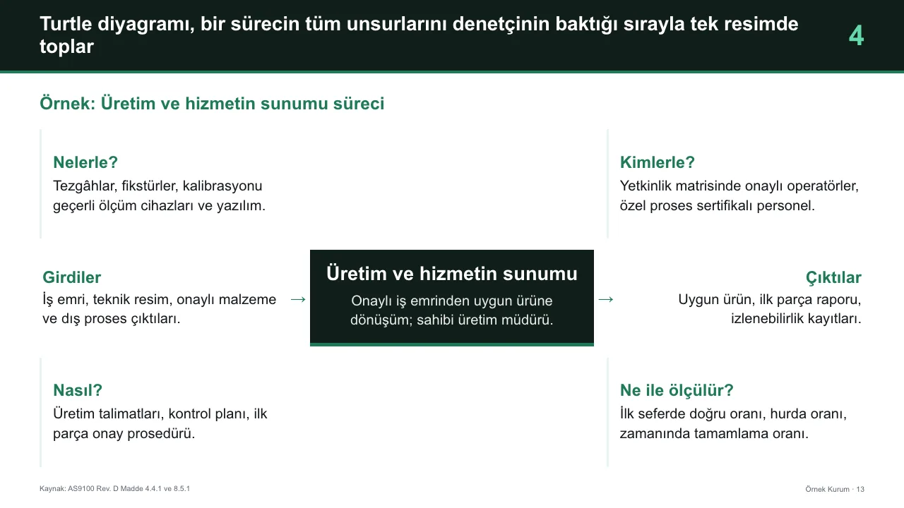 Danışman şablonunda turtle diyagramı sayfası